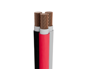 Cable tipo N2XY